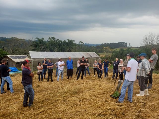 Leia mais sobre o artigo Agricultores de Curitibanos conhecem Sistema de Plantio Direto de Hortaliças (SPDH)