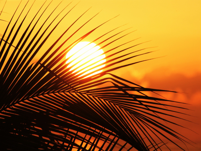 Leia mais sobre o artigo Verão em Santa Catarina terá temperatura acima da média e forte atuação do El Niño