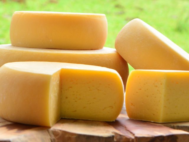 Leia mais sobre o artigo Conheça os melhores queijos artesanais de Santa Catarina