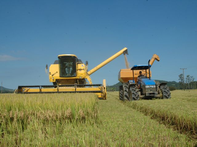 Leia mais sobre o artigo Abertura oficial da colheita do arroz de SC acontece nesta quinta-feira, 18, em Massaranduba