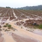 Artigo: Desafios e soluções para mitigar a erosão provocada pelas chuvas na agricultura catarinense*