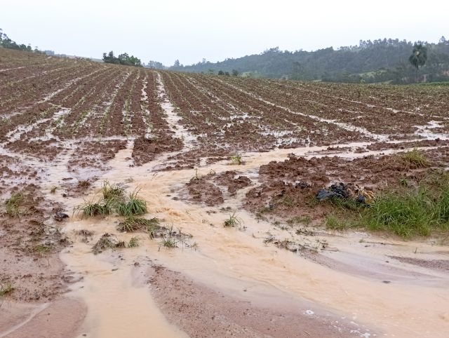 Leia mais sobre o artigo Artigo: Desafios e soluções para mitigar a erosão provocada pelas chuvas na agricultura catarinense*