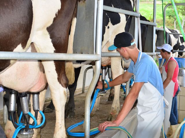 Leia mais sobre o artigo Boletim Agropecuário de fevereiro registra alta no preço do leite e atualiza as estimativas das safras de grãos
