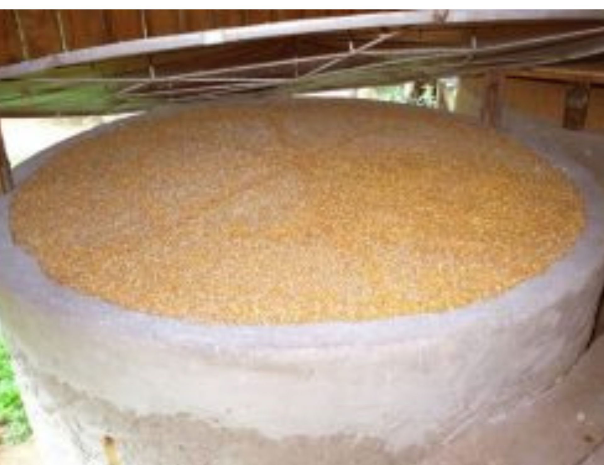 Leia mais sobre o artigo Epagri reúne 163 pessoas no Alto Vale do Itajaí para apresentar benefícios do silo secador de grãos