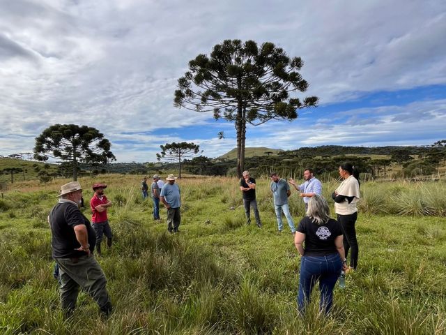 Leia mais sobre o artigo Unidade de referência técnica em pecuária de corte dissemina boas práticas em São Joaquim
