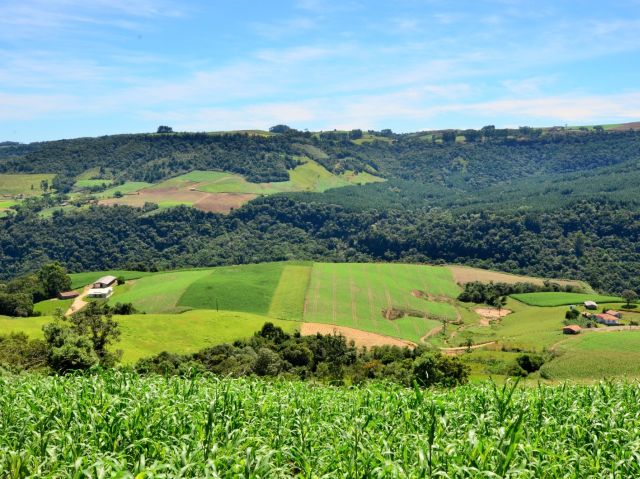 Leia mais sobre o artigo Levantamento da Epagri/Cepa mapeia preço das terras agrícolas em Santa Catarina