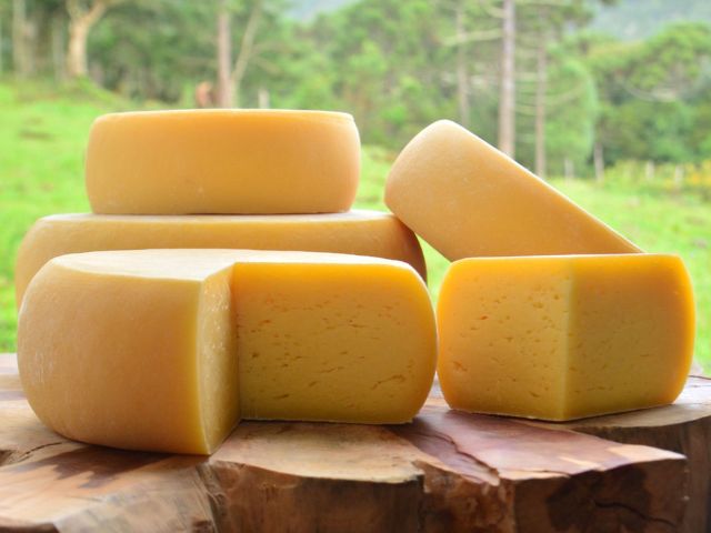 Leia mais sobre o artigo Projeto da Epagri valoriza e qualifica queijos artesanais de SC