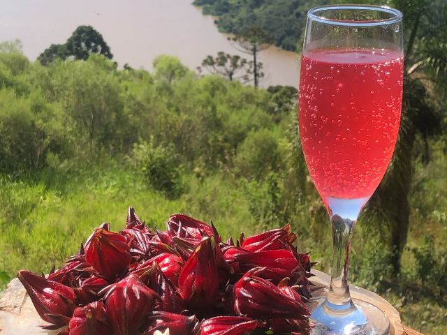 Leia mais sobre o artigo Oficina em Chapecó ensina a fazer bebidas à base de plantas