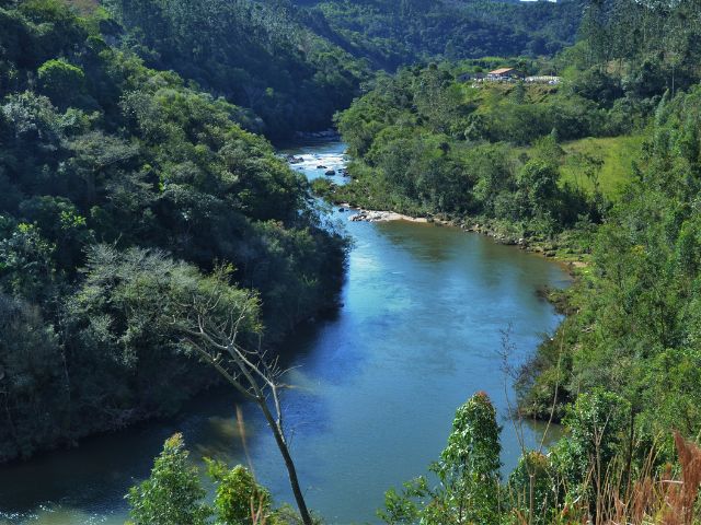 Leia mais sobre o artigo Parceria entre Epagri e comunidades recupera matas ciliares no Extremo Oeste há quase duas décadas