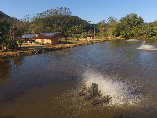 Leia mais sobre o artigo Extensionistas criam metodologia de governança territorial para medir sustentabilidade na aquicultura