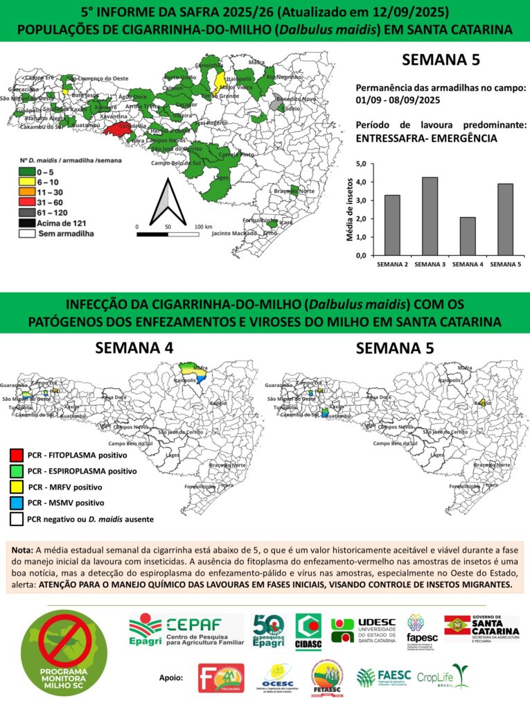 Foto: Reprodução/Secom SC