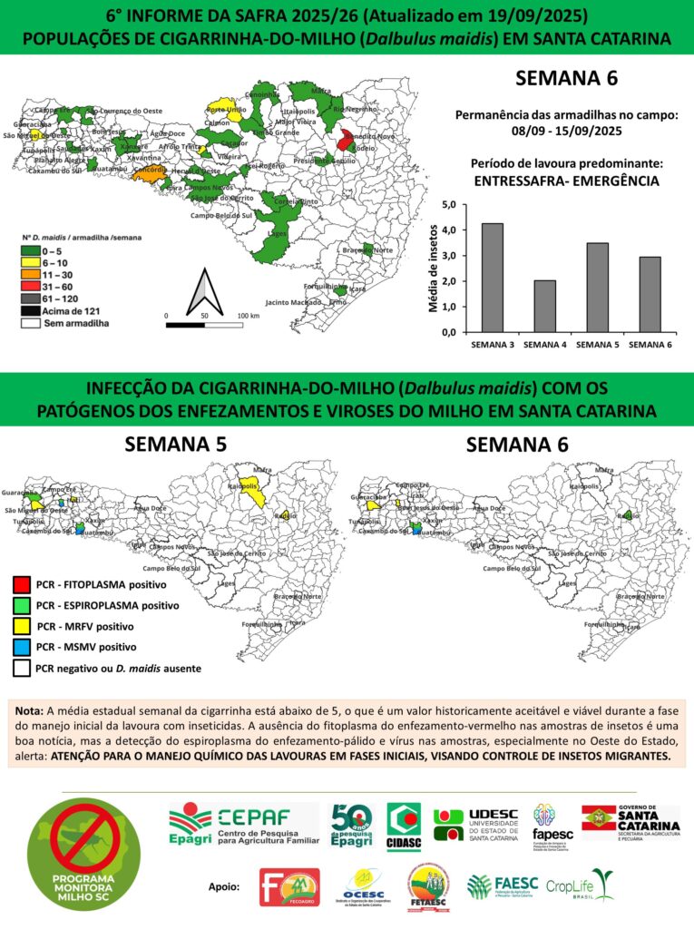 Foto: Reprodução/Secom SC
