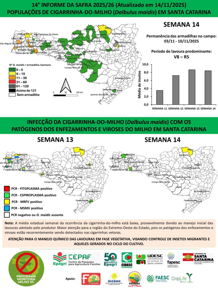 Foto: Reprodução/Secom SC