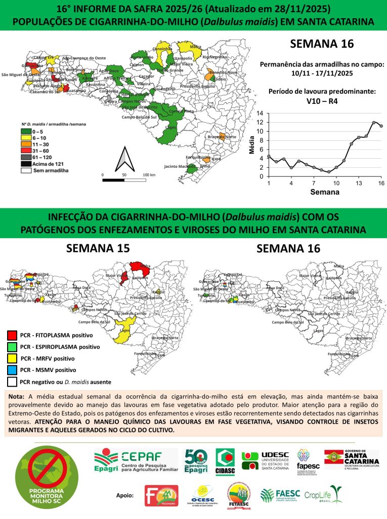 Foto: Reprodução/Secom SC