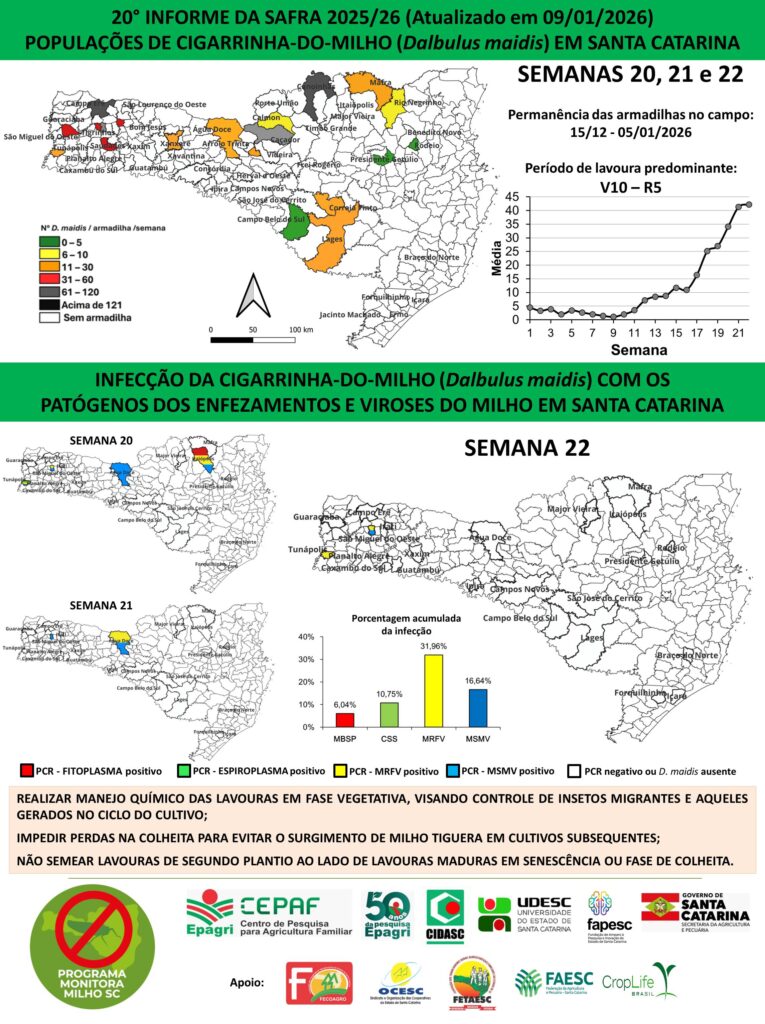 Foto: Reprodução/Secom SC