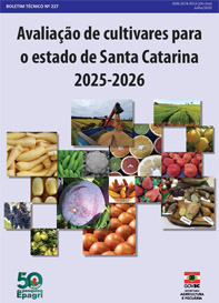 Avaliacao-2025-26