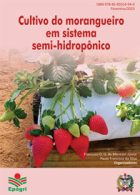 Cultivo-do-morangueiro