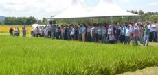 IMG-Dia-de-campo